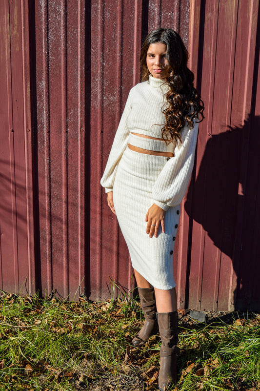 Leslie Turtle Neck Sweater