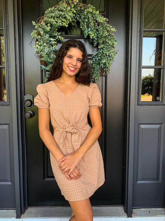 Picnics By The Shore Dress