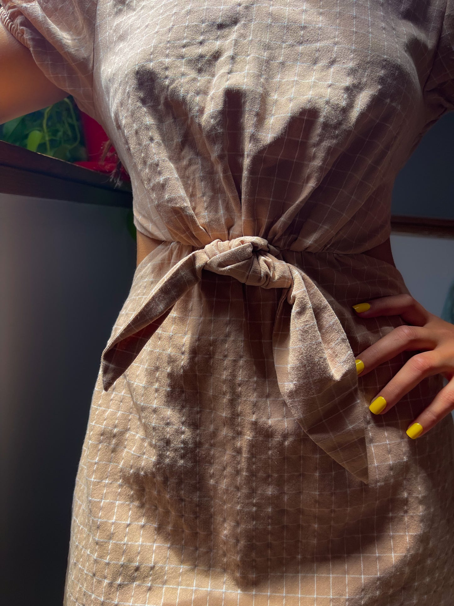 Picnics By The Shore Dress