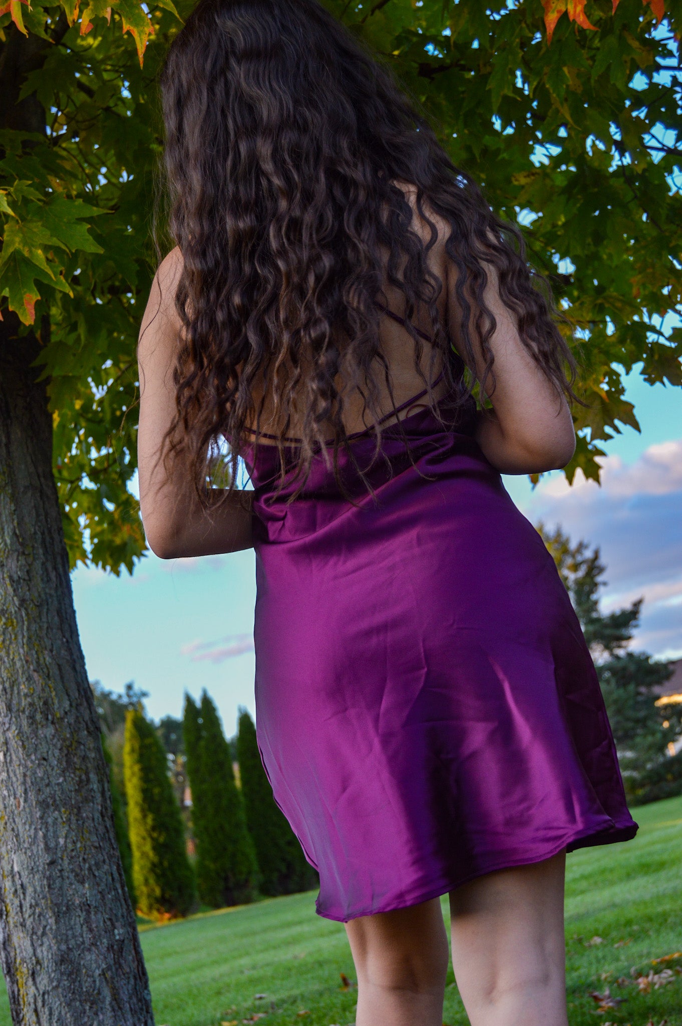 Midnight Skies Dress