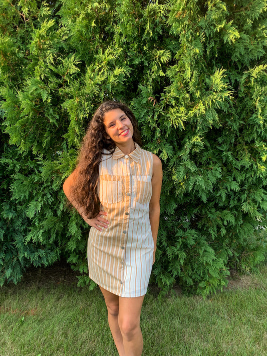 Walk This Way Dress