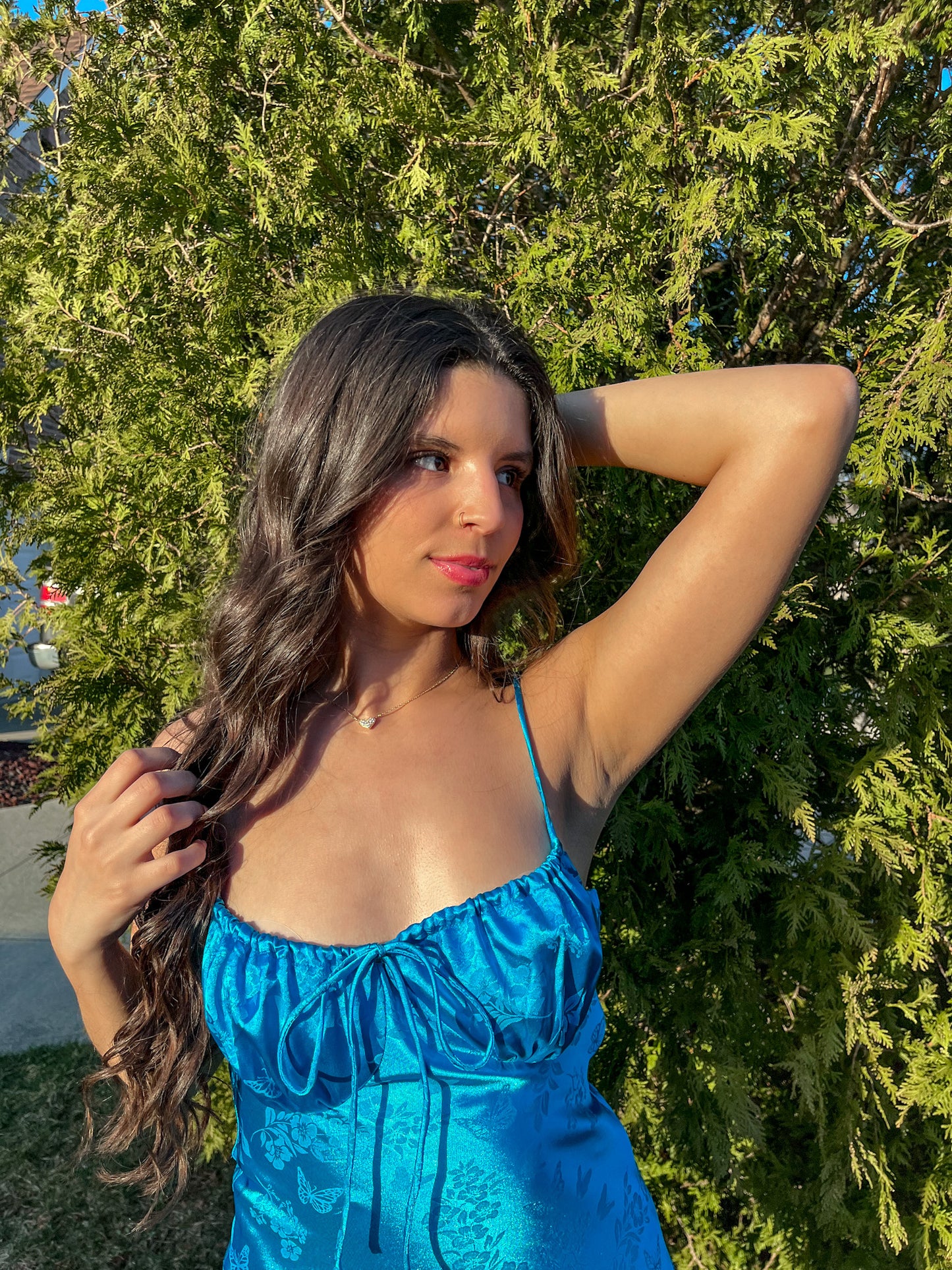 Morpho Butterfly Dress