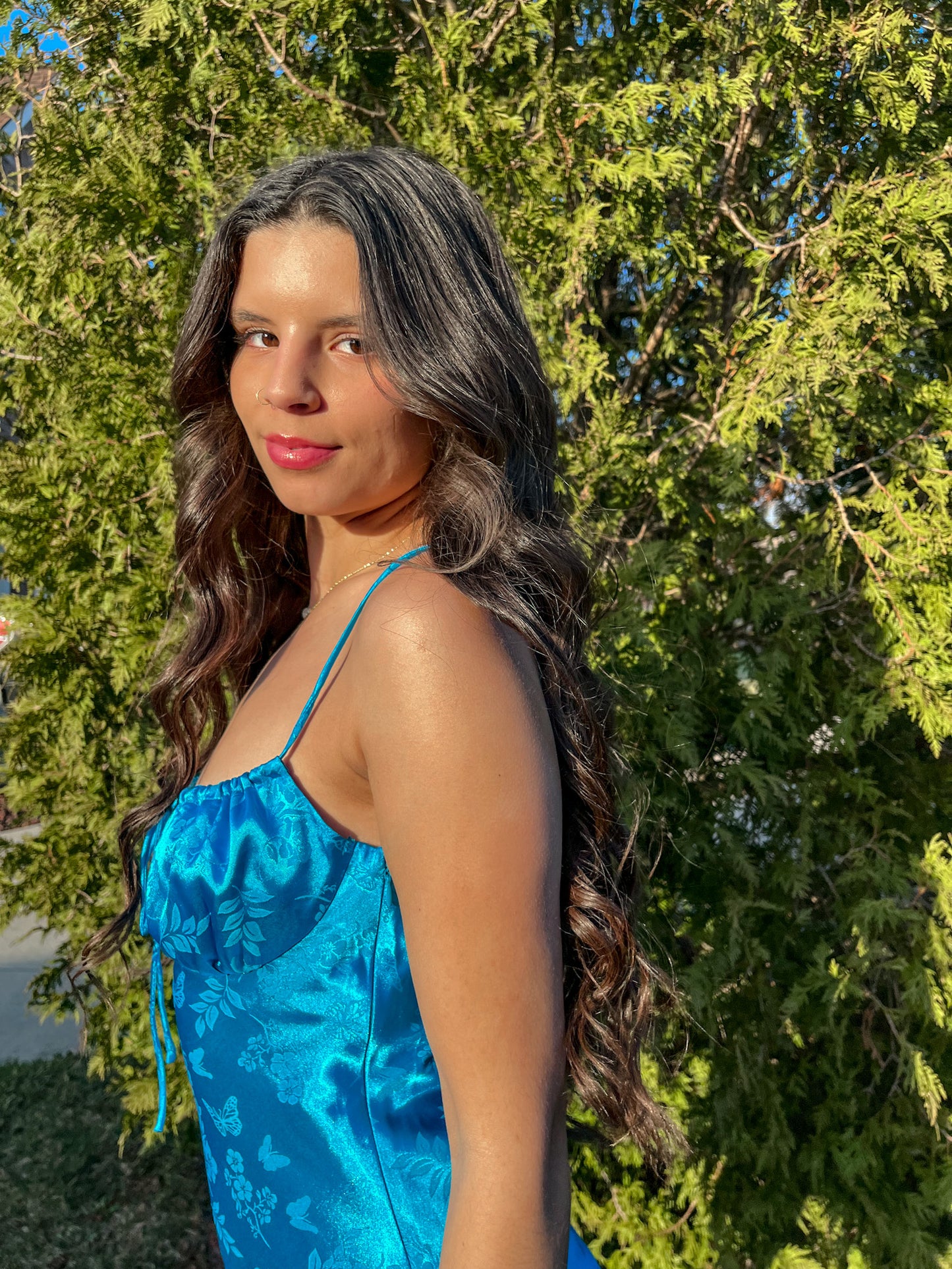 Morpho Butterfly Dress